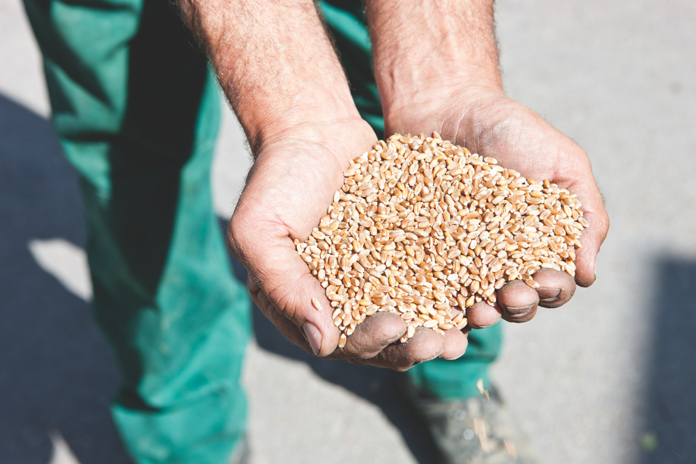 let-assortiment-banners