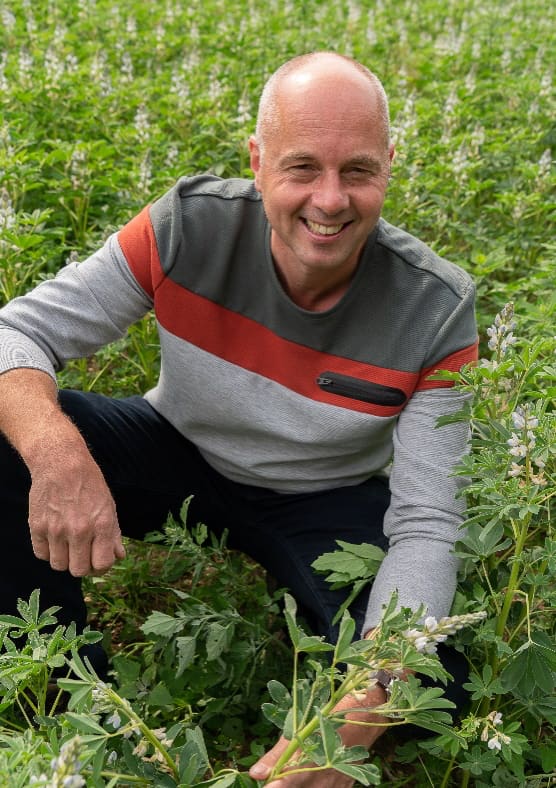 let-assortiment-banners