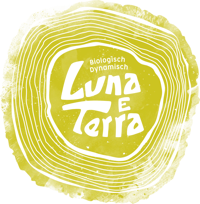 Logo LunaeTerra