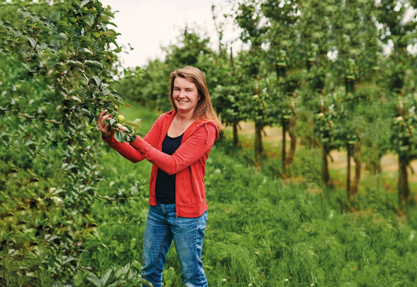 let-assortiment-banners